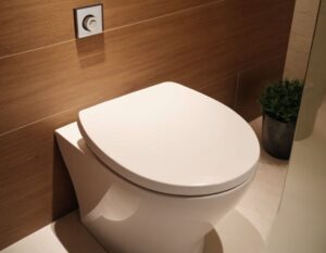 WC Sitz mit Absenkautomatik – Komfort für Ihr Badezimmer